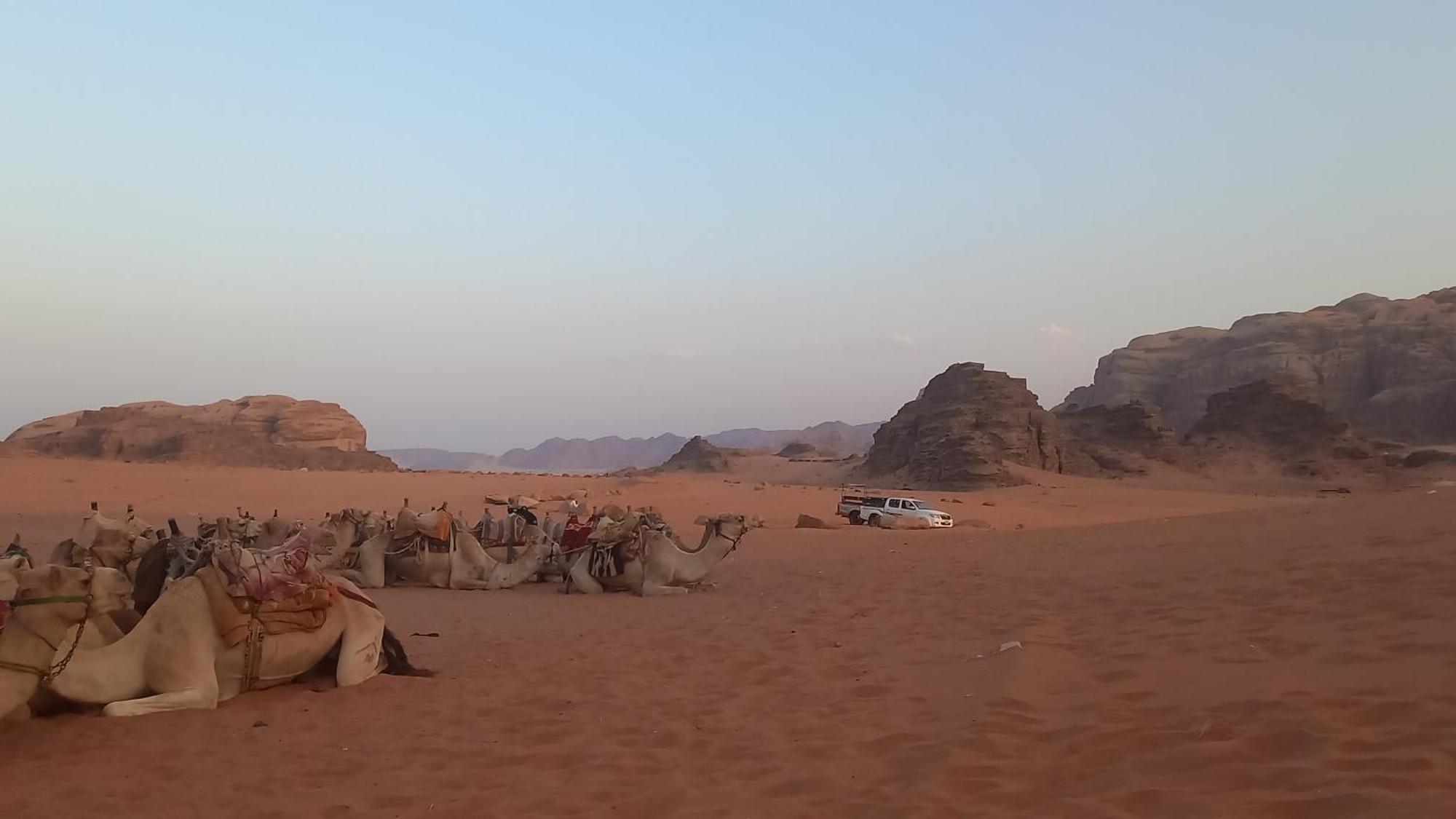 غرووب وادي رم Hotel Kültér fotó